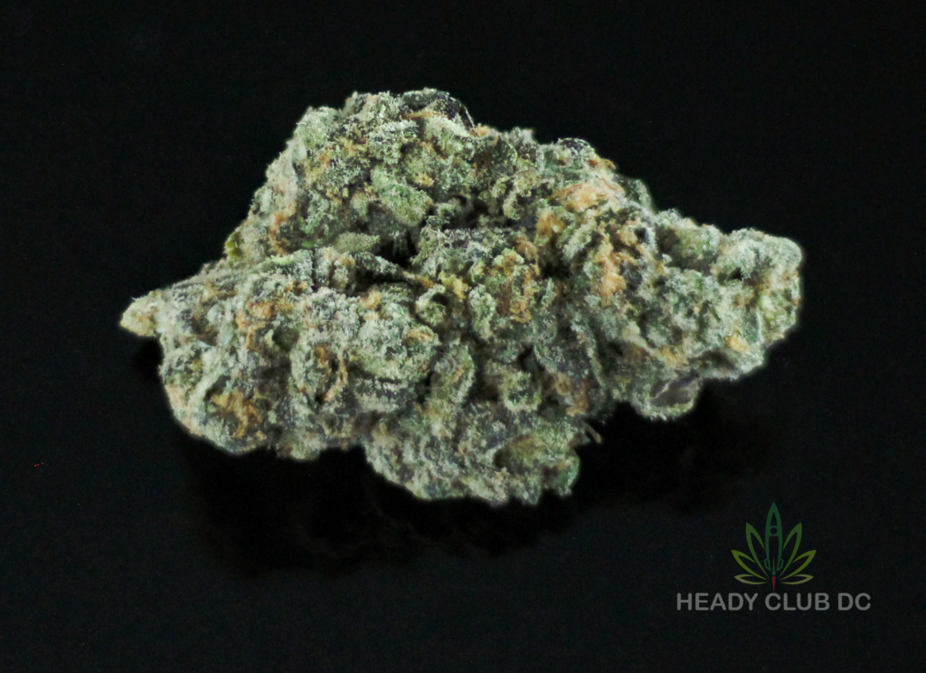 A close-up image capturing the Apple Sangria Exotic Sativa cannabis strain, displaying resinous, elongated buds with vivid green hue.