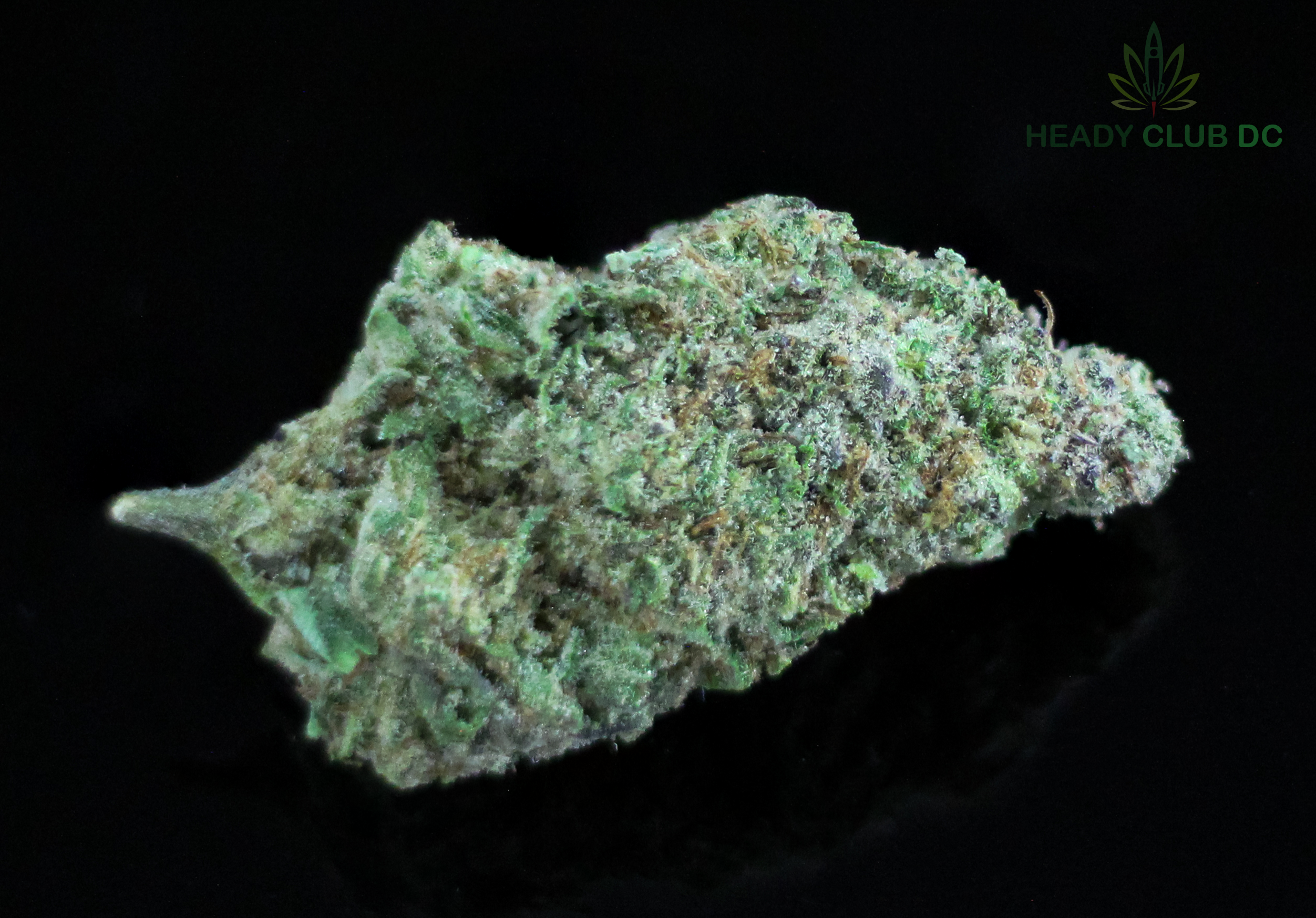 🌿 Close-up: Explore the Beauty of a Kush Mints Bud 🍃✨ #KushMints #CannabisBeauty
