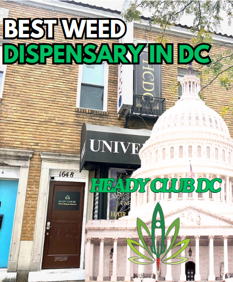 best dispensary in DC