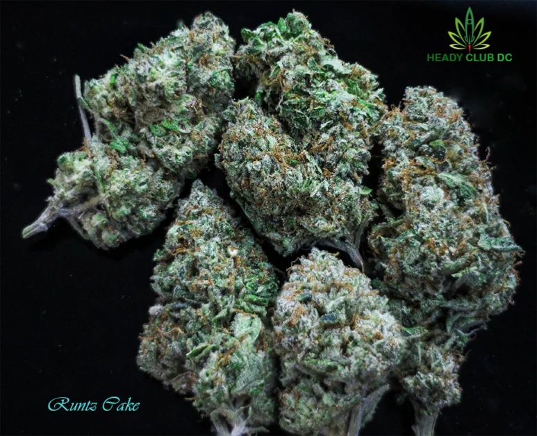 Runtz Cake Heady Club DC