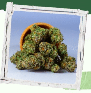 CBD-Free Organic Options Are Emerging in DC