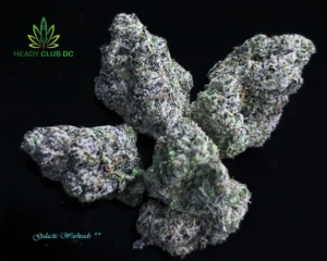 Galactic Warheads cannabis strain buds – hybrid exotic with sour candy and tropical fruit terpenes, available at Heady Club DC.