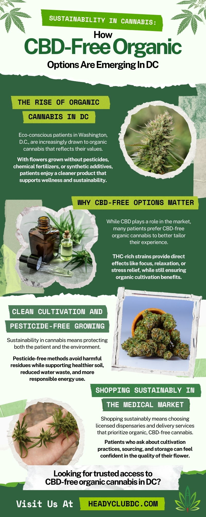 CBD-Free Organic Options Are Emerging in DC