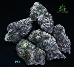 P85 cannabis strain buds from Heady Club DC – indica-dominant with bubblegum-spice flavor and relaxing effects.