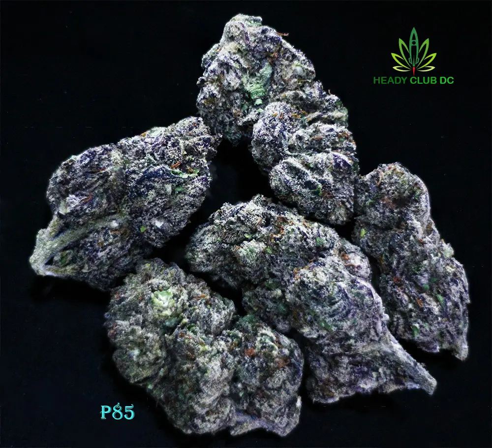 P85 cannabis strain buds from Heady Club DC – indica-dominant with bubblegum-spice flavor and relaxing effects.