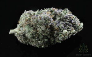  An image of an Indica-dominant strain of marijuana