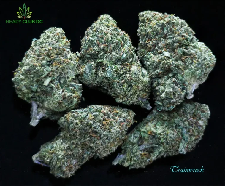 Trainwreck cannabis strain buds – sativa exotic with pine, lemon, and spicy herbal aroma, available at Heady Club DC.