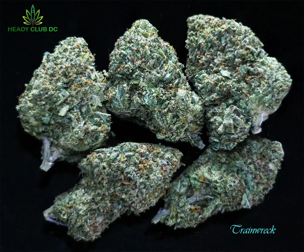 Trainwreck cannabis strain buds – sativa exotic with pine, lemon, and spicy herbal aroma, available at Heady Club DC.