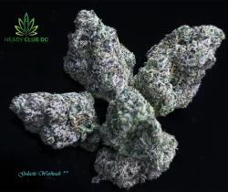 Galactic Warheads cannabis strain buds – hybrid exotic with sour candy and tropical fruit terpenes, available at Heady Club DC.