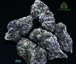 P85 cannabis strain buds from Heady Club DC – indica-dominant with bubblegum-spice flavor and relaxing effects.
